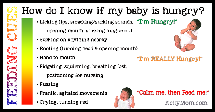 Sidst Kridt Våbenstilstand Hunger Cues - When do I feed baby? • KellyMom.com