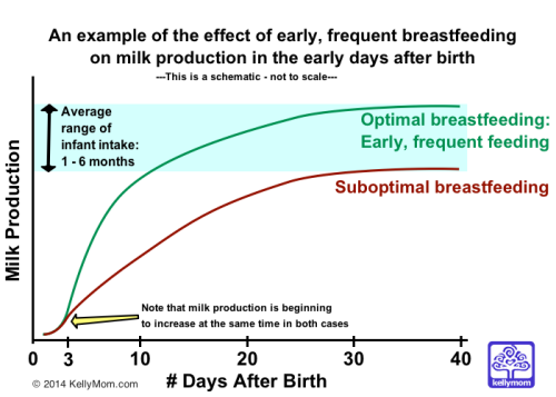 The Effect of Optimal Breastfeeding on Milk Production