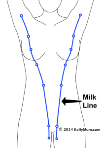 milk_line